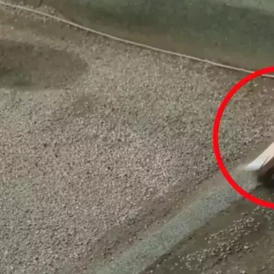 Asphalt-Trick: Betrüger treiben mit einer ungewöhnlichen Masche ihr Unwesen