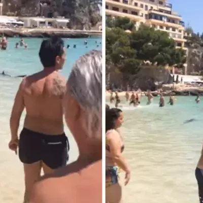 Hai bedroht Touristen am Strand von Mallorca