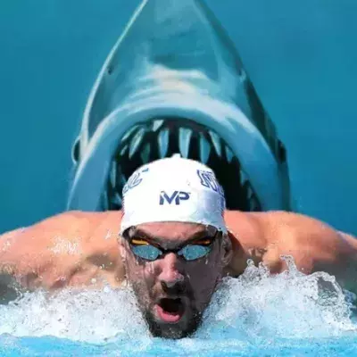 Michael Phelps tritt gegen einen weißen Hai an