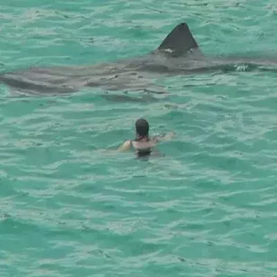Letztes Gebet: Was würdest du machen? So hat ein Schwimmer in Todesangst reagiert!