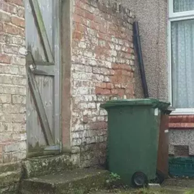 Dieses Fotorätsel löst keiner: Wo hat sich die Katze versteckt?