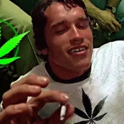 Kraftsport und Cannabis: Ein neues Fitnesstudio-Konzept, das viel von sich reden macht...