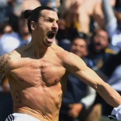Kämpft Zlatan Ibrahimovic bald in MMA?