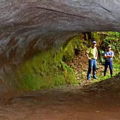 Haben riesige Kreaturen diese Monstertunnel in Brasilien gebaut?