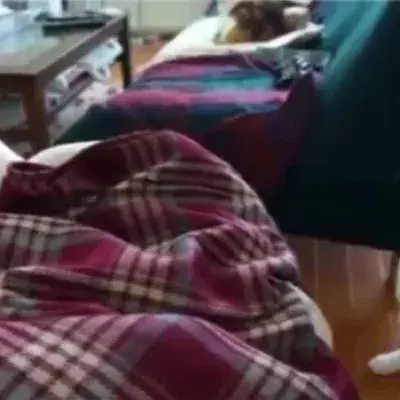 Diese Katze sorgt sich, als das Baby niest. Ihre Reaktion ist einmalig!