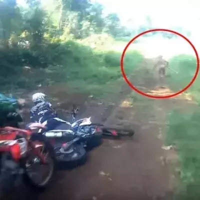 Ein Motocross-Fahrer wird während seiner Fahrt von einer seltsamen Kreatur überrascht