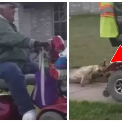 Ein Mann schleift einen Hund hinter seinem Rollstuhl her