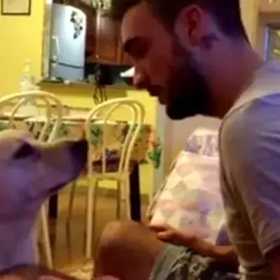 Ein Hund entschuldigt sich bei seinem Herrchen
