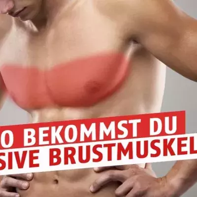 Krafttrainings-Programm: Wie ihr massive Brustmuskeln bekommt