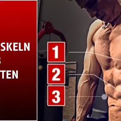 Die perfekten Bauchmuskeln: Trainiert diese drei Bereiche!