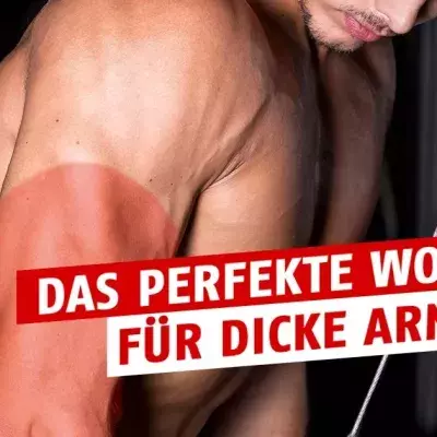 Trizeps-Übungen: Ein Wahnsinns-Programm für muskulöse Arme