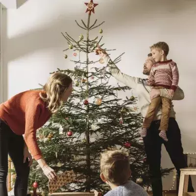 Weihnachtsbaum mit gutem Gewissen: Diese Alternativen gibt es