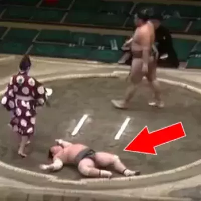 Großartiger K. o. bei einem… Sumo-Kampf!