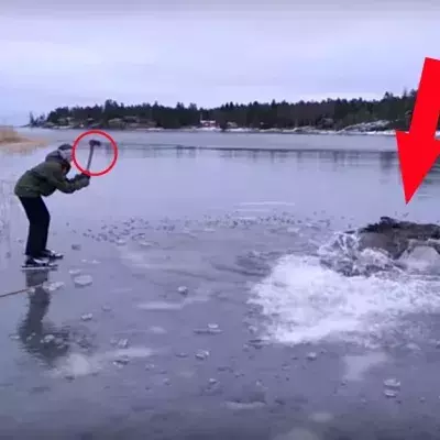 Helfer retten einen Elch aus dem eiskalten Wasser