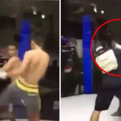 Kämpfer wird KO geschlagen und greift den Kampfrichter an