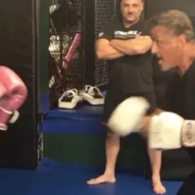 Demi Lovato, die Freundin von Luke Rockhold, zerstört Sylvester Stallone