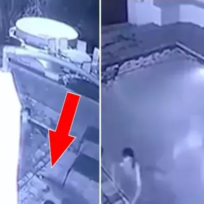 Ein junges Paar wird im Hotelpool von einem Krokodil angegriffen