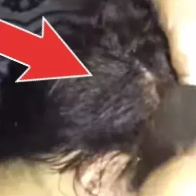Was diese Mutter auf dem Kopf ihres Sohnes entdeckt, ist unfassbar!