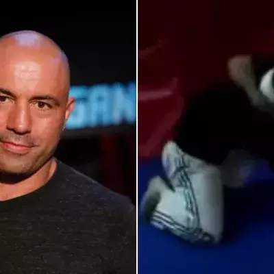 Der UFC-Moderator Joe Rogan kämpft gegen einen Hater