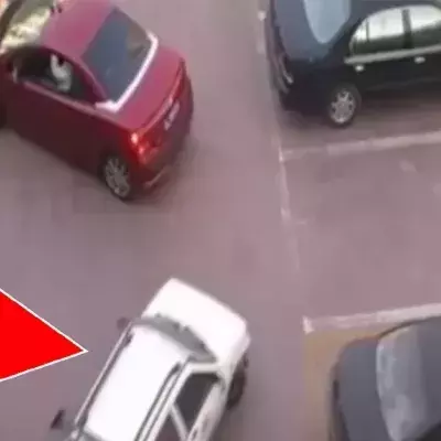 Das rote Auto will einparken, aber dann kommt ein weißer PKW...