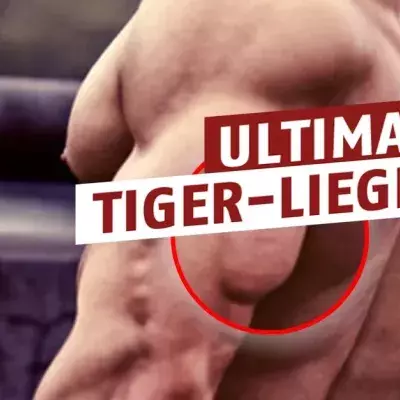 Für den Trizeps: Tiger-Liegestützen
