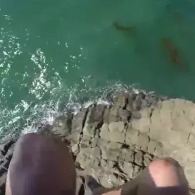 US-Stuntman springt von einem berühmten Felsen und muss fast dran glauben!