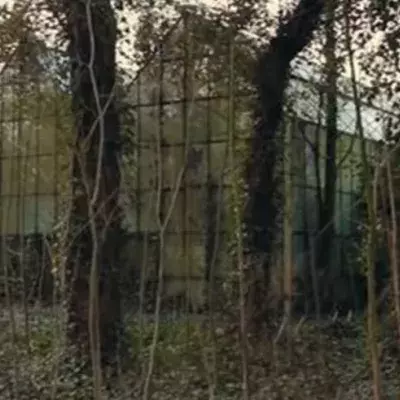 Dieser Affe lebt in einem Zoo, der vor 30 Jahren geschlossen wurde