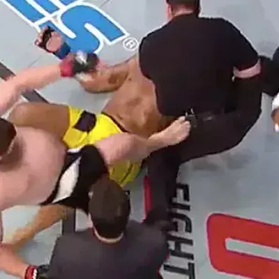 Roy Nelson erklärt, warum er den Kampfrichter John McCarthy getreten hat
