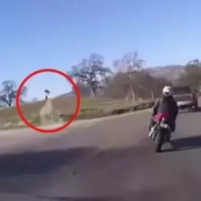 Er filmt den spektakulären Sturz seines Biker-Freundes
