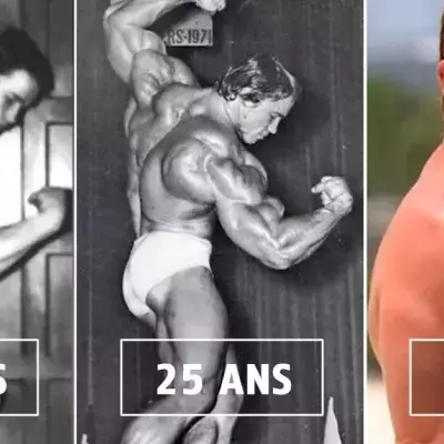 Arnold Schwarzeneggers physische Entwicklung im Lauf der Jahre