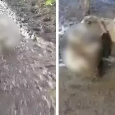 Ihr werdet nie erraten, wegen welchem Tier eine junge Frau in Panik gerät