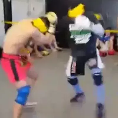 Diesen UFC-Kämpfern werden die Augen verbunden und sie bringen alle zum Lachen