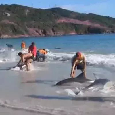 Diese Urlauber in Brasilien haben zum Glück schnell geschaltet!