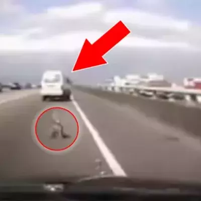 Die einen schmeißen im Auto Müll zum Fenster raus... Aber was dieser Mann rausschmeißt, ist unmöglich!