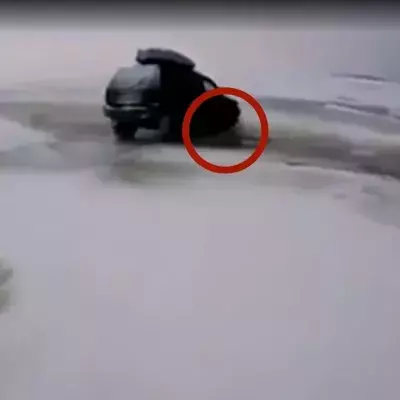 Plumps! Ein Geländewagen will über einen vereisten See