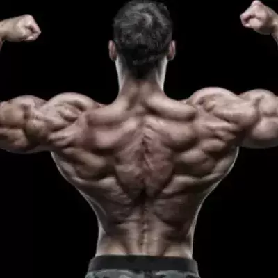 Schultertraining: Die perfekten Rotating Push Ups für starke Schultern