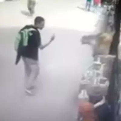 Eine Lektion, die sich gewaschen hat: Provoziere nie eine Affen!