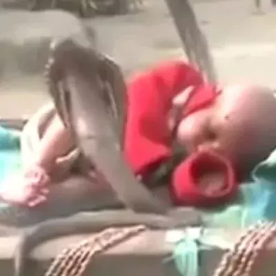 Dieses Baby wird von vier tödlichen Schlangen bewacht