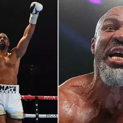 David Haye und Shannon Briggs machen ihre schwachen Gegner fertig
