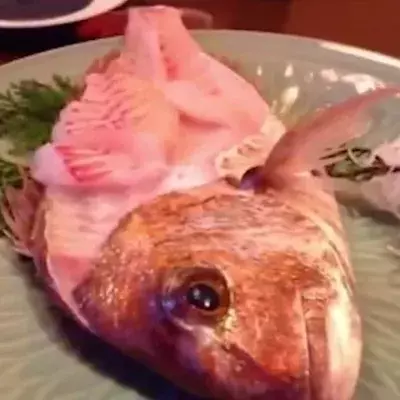 Mitten beim Essen beginnt der Fisch vom Teller zu springen