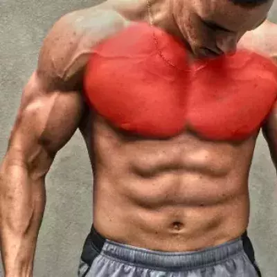 Dein ideales Training für eine massive und starke Brustmuskulatur