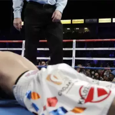 Boxen: Gennady Golovkin siegt per KO in der 2. Runde gegen Vanes Martirosyan