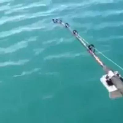 Angler gelingt außergewöhnlicher Fang