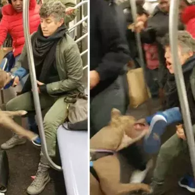 Pitbull sorgt für einen Alptraum in der U-Bahn