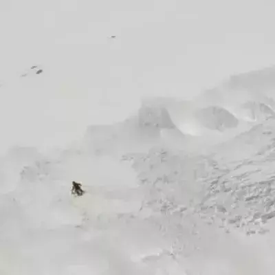 Der Freerider Aimar Navarro überlebt eine gefährliche Lawine in den Pyrenäen