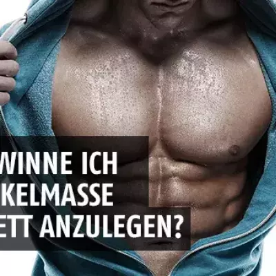 Wie gewinne ich an Muskelmasse, ohne Fett anzulegen?