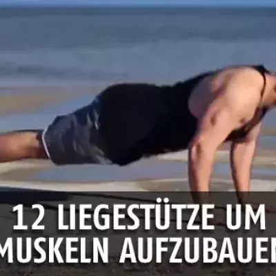 Die 12 besten Liegestütze im Überblick!