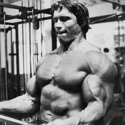 Arnold Schwarzenegger: Was für ein beeindruckendes Training!