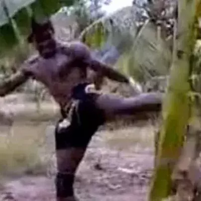 Muay Thai: Buakaw bricht einen Baum mit seinen eigenen Beinen entzwei!