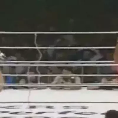 Ein Sumo-Kämpfer von 272 kg gegen einen MMA-Kämpfer von 76 kg. Wer wird gewinnen?
